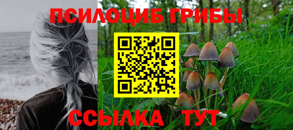 Кубинка  Галлюциногенные грибы мухоморы  Вход с VPN 