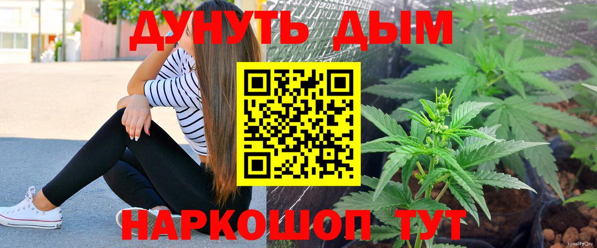 Конопля индика Кубинка